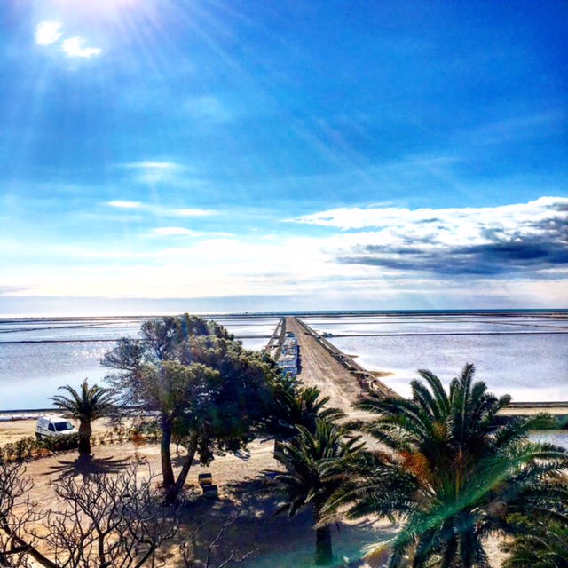Awesome view from our Saltworks yesterday !! #seasalt #biospherereservation #infosa #mediterranean #birds #sun