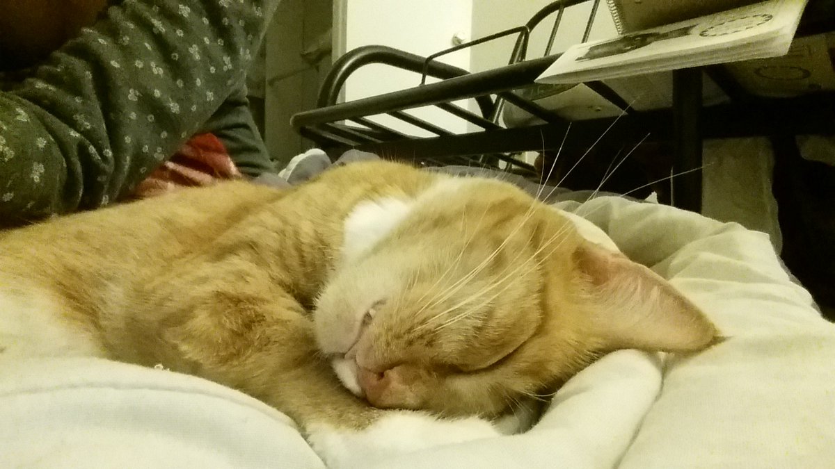 amor_vuelveTX's tweet photo. #Pasho #BigFaceFriday https://t.co/6Hvgg3XhyR