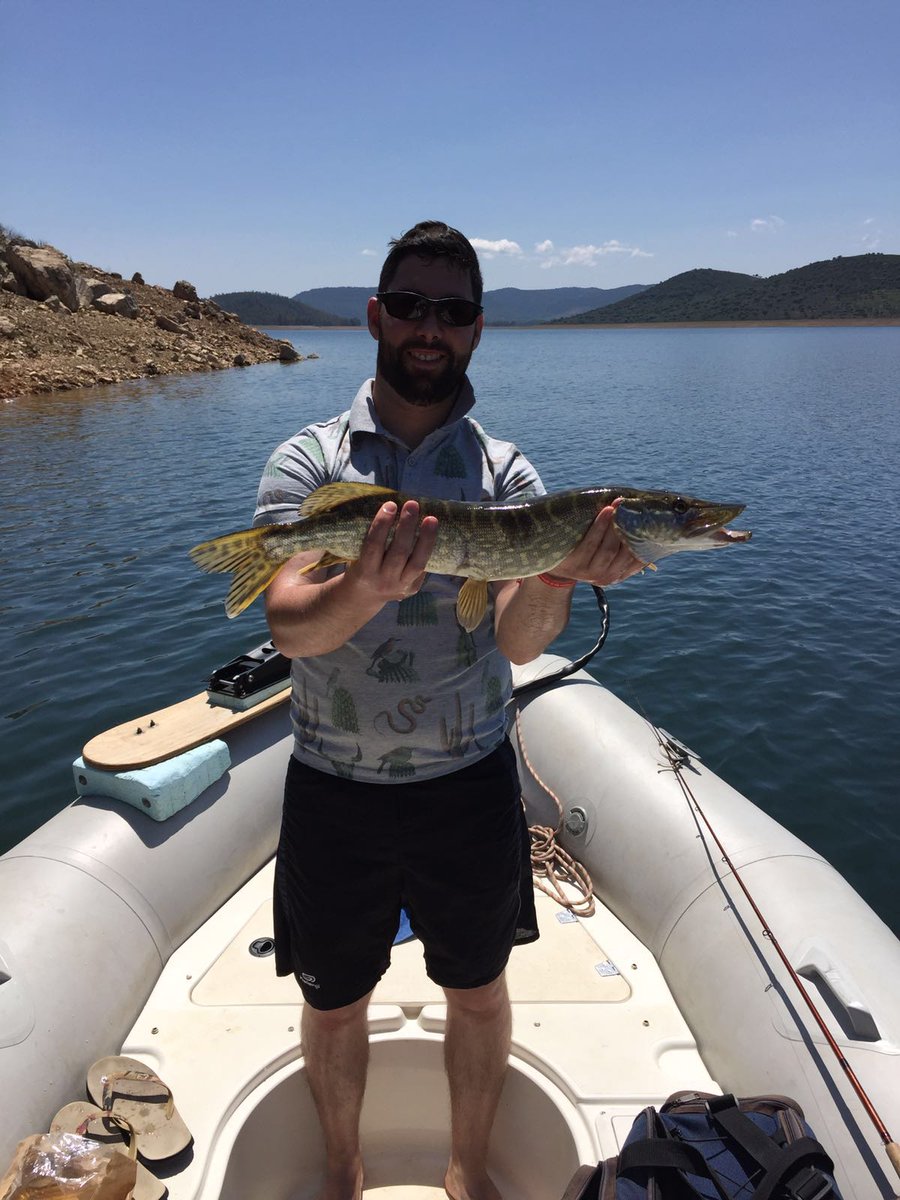 El_Aguardista's tweet photo. #basses #lucio #Cijara un embalse con mucha vida https://t.co/Ruz6Jv0gPX