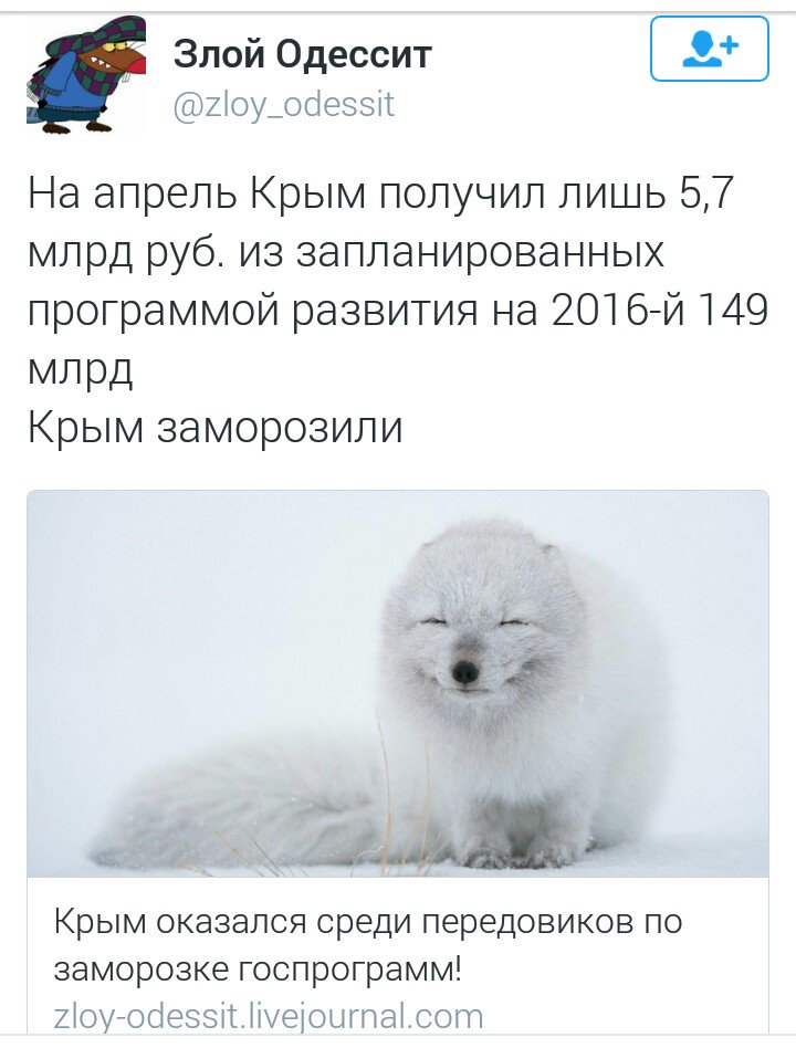 Россия не ожидала такого сопротивления Украины и Запада, - представитель Госдепартамента США - Цензор.НЕТ 8305