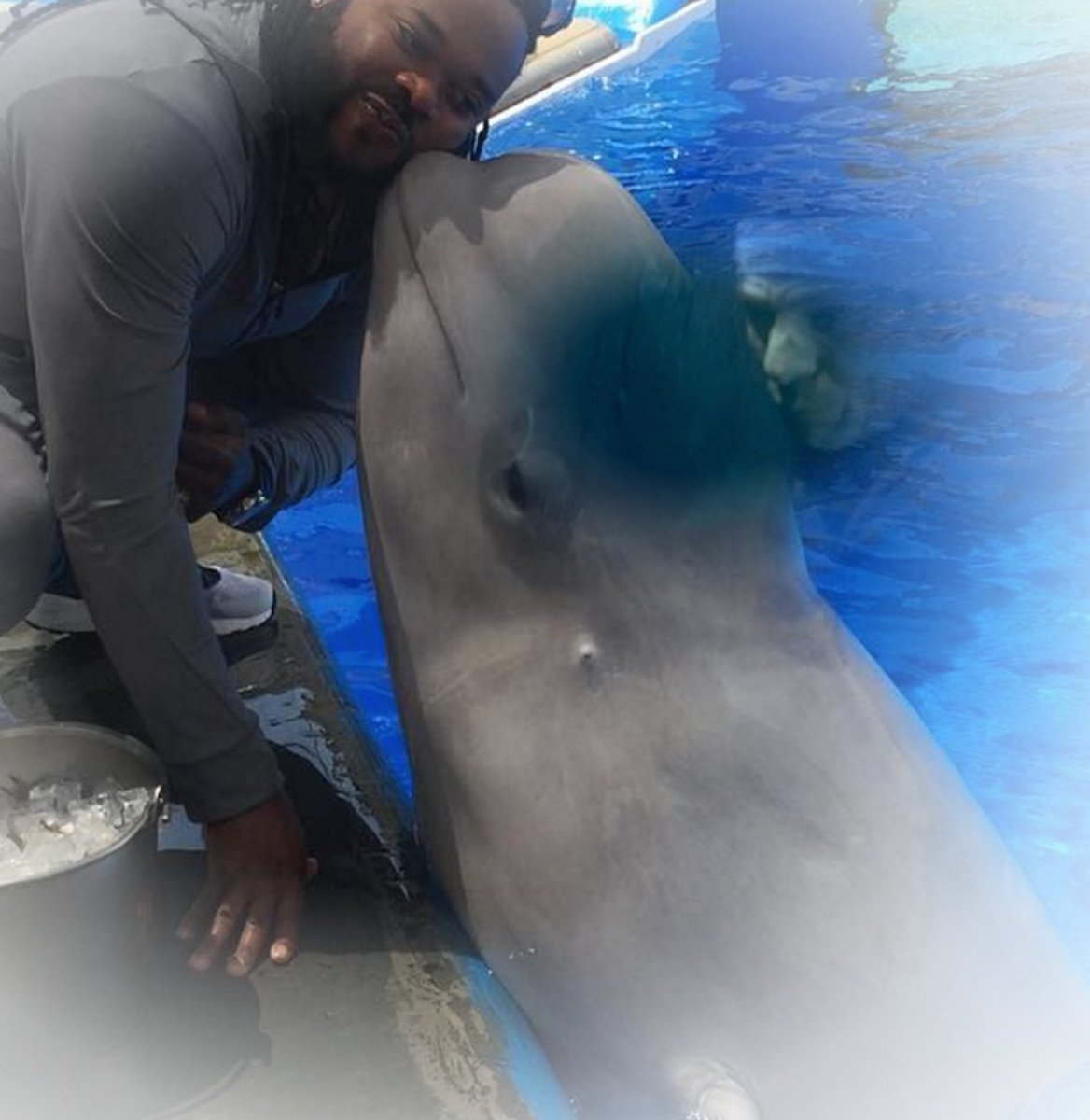 Andrew Baggarly On Twitter Mccoveychron Your Postgame Blog Was Rad Here S Cueto And Mr Spock Having A Simultaneous Mind Meld With The Whale