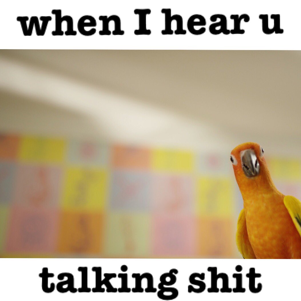 .<a href="/MaverickParrot/">Maverick the Parrot</a>