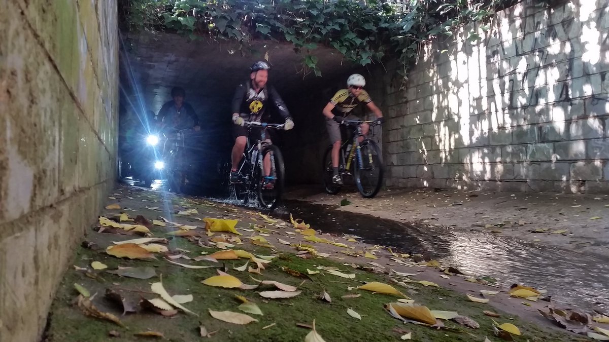 Jason Geldenhuys tweet media