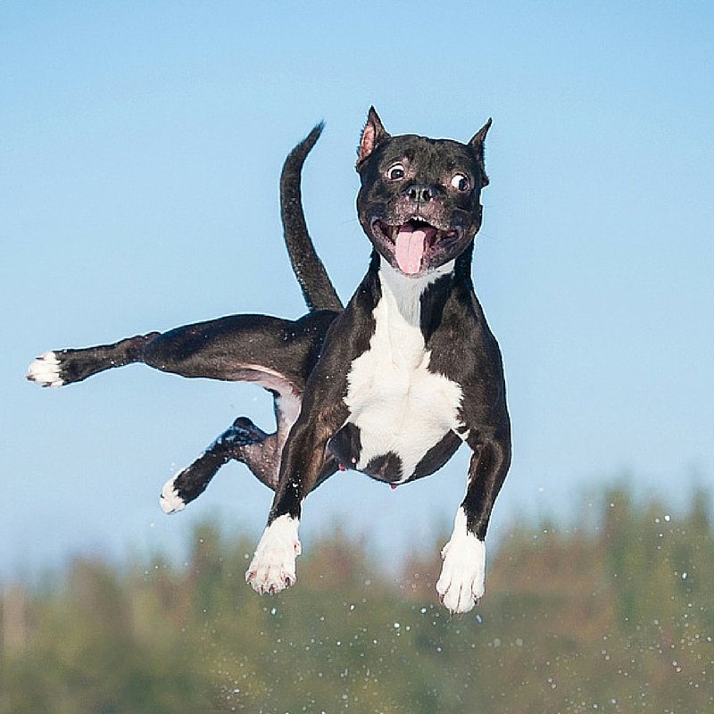 leohotelsukire's tweet image. Put a spring in your step! #Win a free stay at any UK or Ireland Jurys Inn! RT &amp;amp; follow  to enter #FreebieFriday