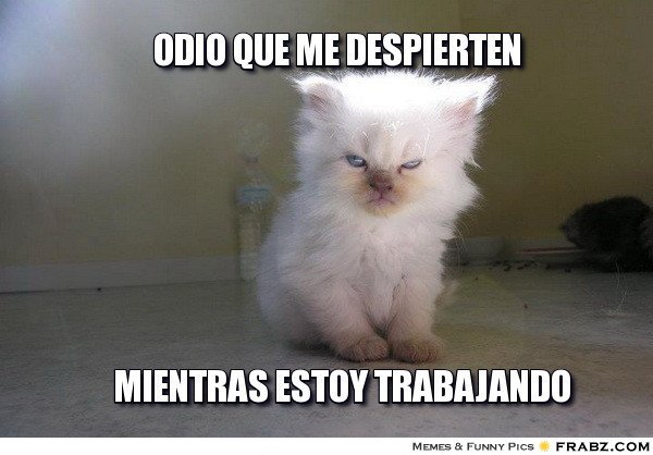 los40mx's tweet image. No lo hagan, que me levanto de malas... a trabajar #Viral40