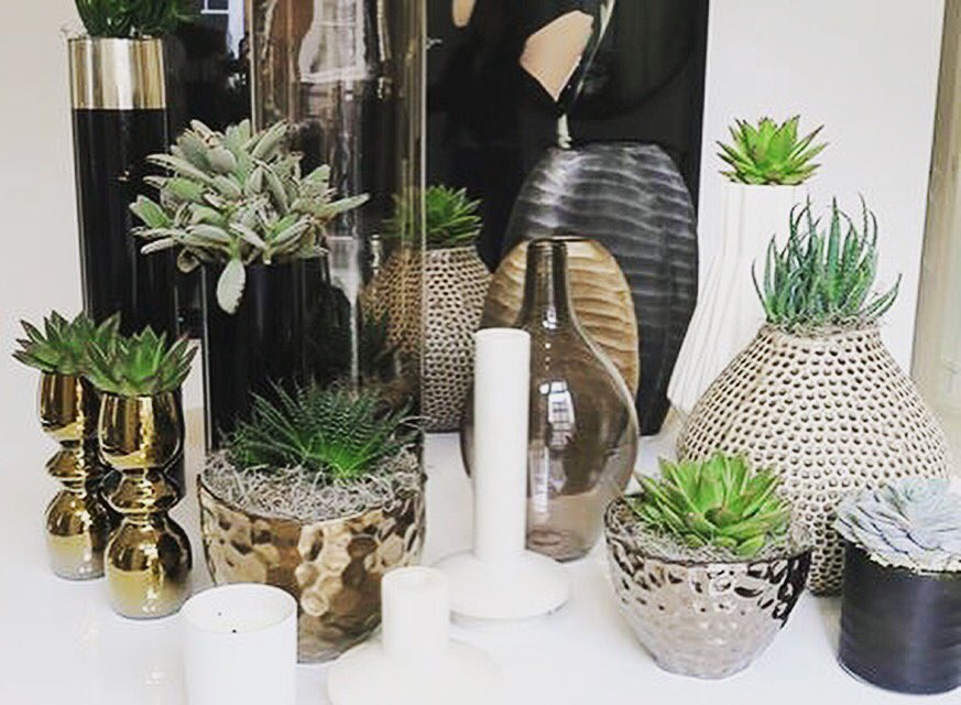 Kelly Hoppen Mbe On Twitter Styling With Succulents Get The