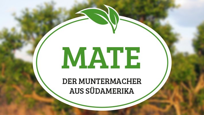Teepod's tweet photo. Das Geheimnis des #Mate Tees. Das kann das Zauberkraut aus Südamerika: https://t.co/yRflhgyEim https://t.co/0KwTjyzAUK