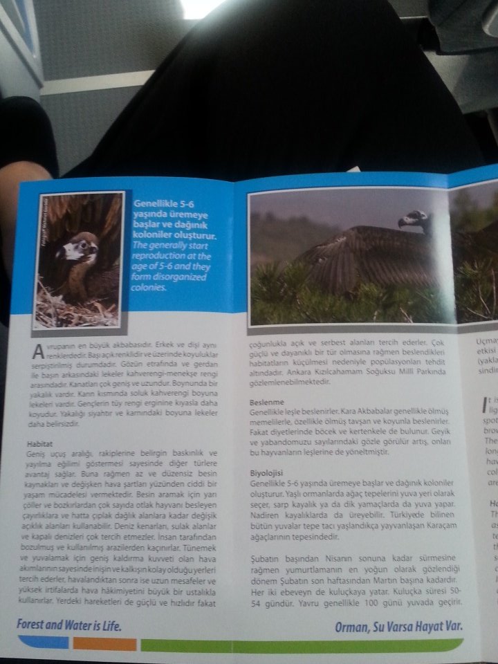 Kara Akbaba - Kızılcahamam <a href="/adlibilimciler/">Adli Bilimciler Drn</a>