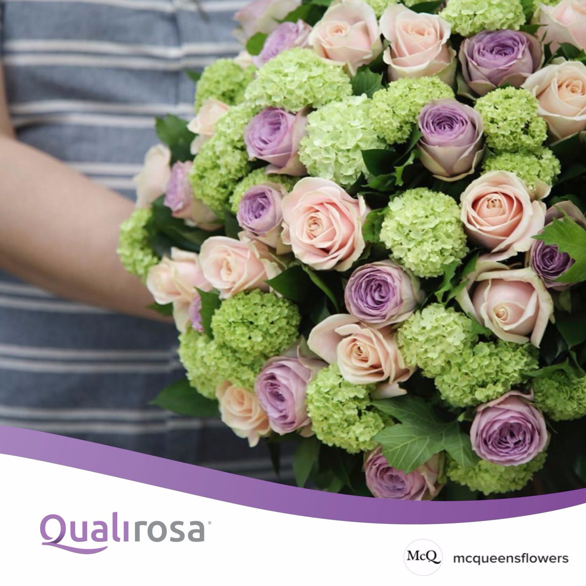 QualiRosa's tweet photo. Amazing bouquet with Lullaby - @McQueensflowers #QualiRosa #QR #Qualityroses #Celebrity #Roses #Rozen https://t.co/KcS4lIbqdq