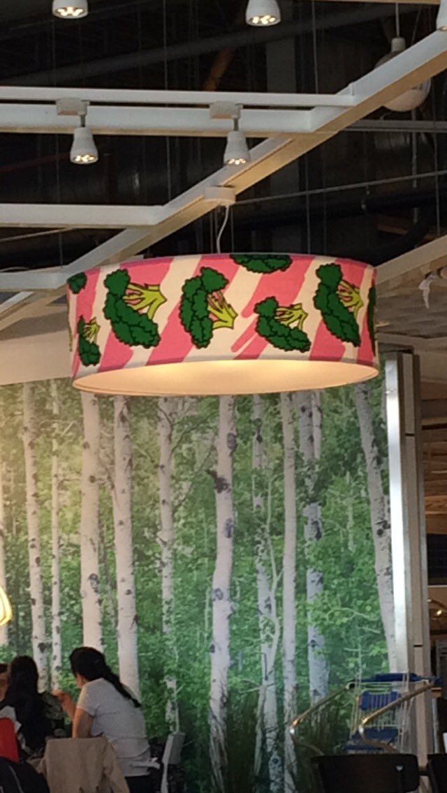 BEatsBMoves's tweet image. #MidgetTree lampshades are all the rage @thebodycoach ! #90DAYSSSPLAN #Leanin15