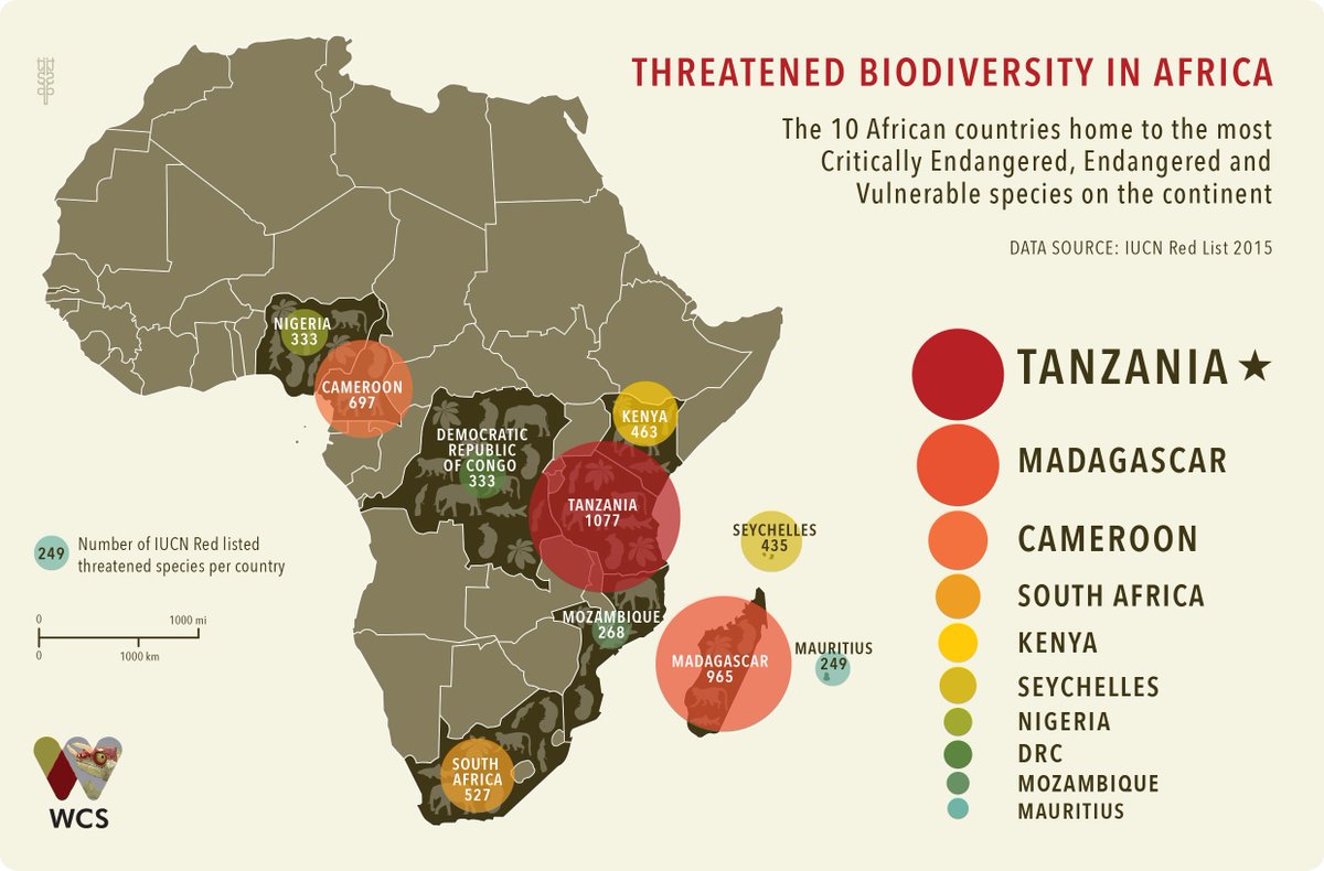 TimRBDavenport's tweet photo. Tanzania is home to highest no. of endangered spp in Africa - as per IUCN Red List. #WorldEndangeredSpeciesDay https://t.co/HtaeCjqnXE