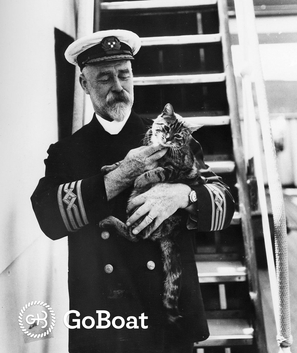 GoBoatNL's tweet photo. Wist je dat een kat aan boord van een schip geluk brengt. Al sinds de oude Egyptenaren! #wistjedatje https://t.co/TnSsGa0tDS