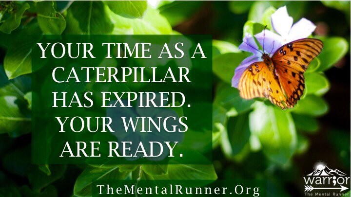 mental_runner's tweet image. Taking small steps each day means sometimes I fly &amp;amp; sometimes I crash. At least I know Im trying &amp;amp; I love that! 💕