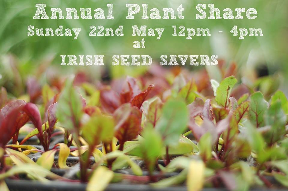 IrishSeedSavers's tweet photo. Annual Plant Share this Sunday @IrishSeedSavers One of our big events of the year #gardening #organic #realfood https://t.co/5RFgT6qhaJ