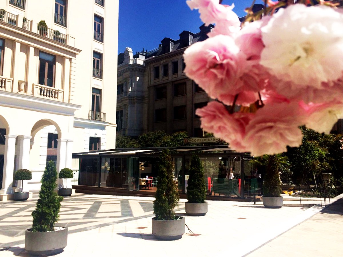 SturiosMadrid's tweet photo. Ya ha llega el calor a la ciudad, y con ello las terrazas. Ven y disfruta de nuestra increíble terraza en #Sturios https://t.co/mHcTdmpG3W