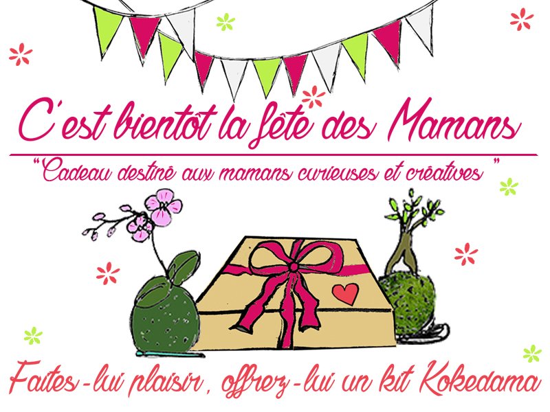 Plantibox's tweet photo. C'est bientôt la #fête des #mamans ! Ne chercher plus.#Cadeau #kit #Kokedama,  https://t.co/Vi8X4vLdD7 #fetedesmeres https://t.co/zv8XGYUBGL