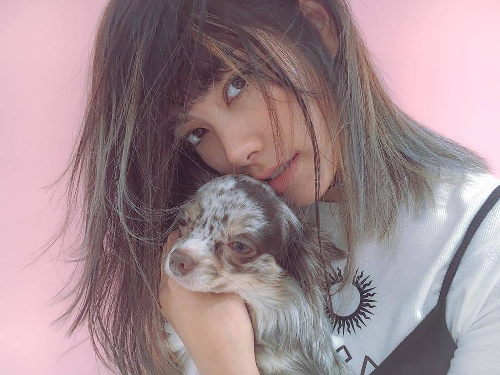 h2kari's tweet photo. made my hair color like @my_tino ♡
ティノ色🐶 by @nanakoro https://t.co/kgkHwjYr4q