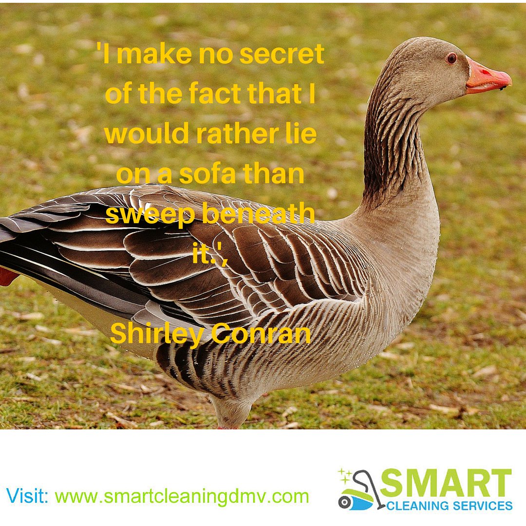 smartcleaningva's tweet photo. who wants that :D
#funny #humor #cleaning #housekeeping #c #maryland https://t.co/OzDBkLVAc3