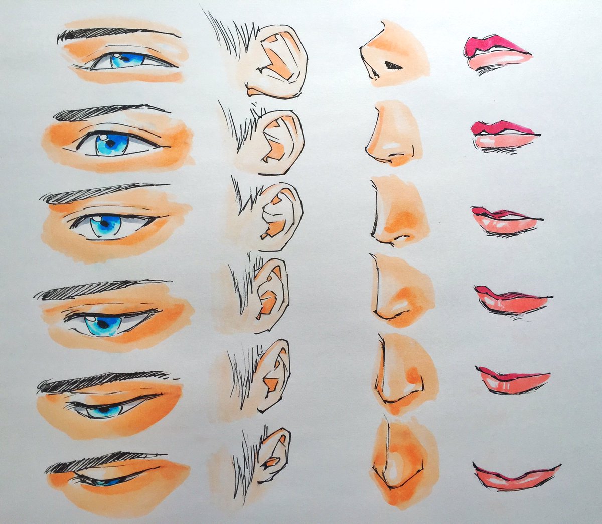 吉村拓也 イラスト講座 در توییتر イケメン顔の描き方 角度別 顔のパーツ表