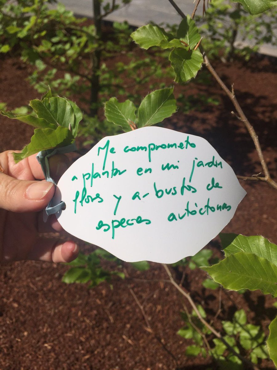PGdeSalazar's tweet photo. Mi compromiso con la #biodiversidad es plantar flores y arbustos de especies autóctonas en mi jardín #arabanaturala https://t.co/TXZSlXoiCz
