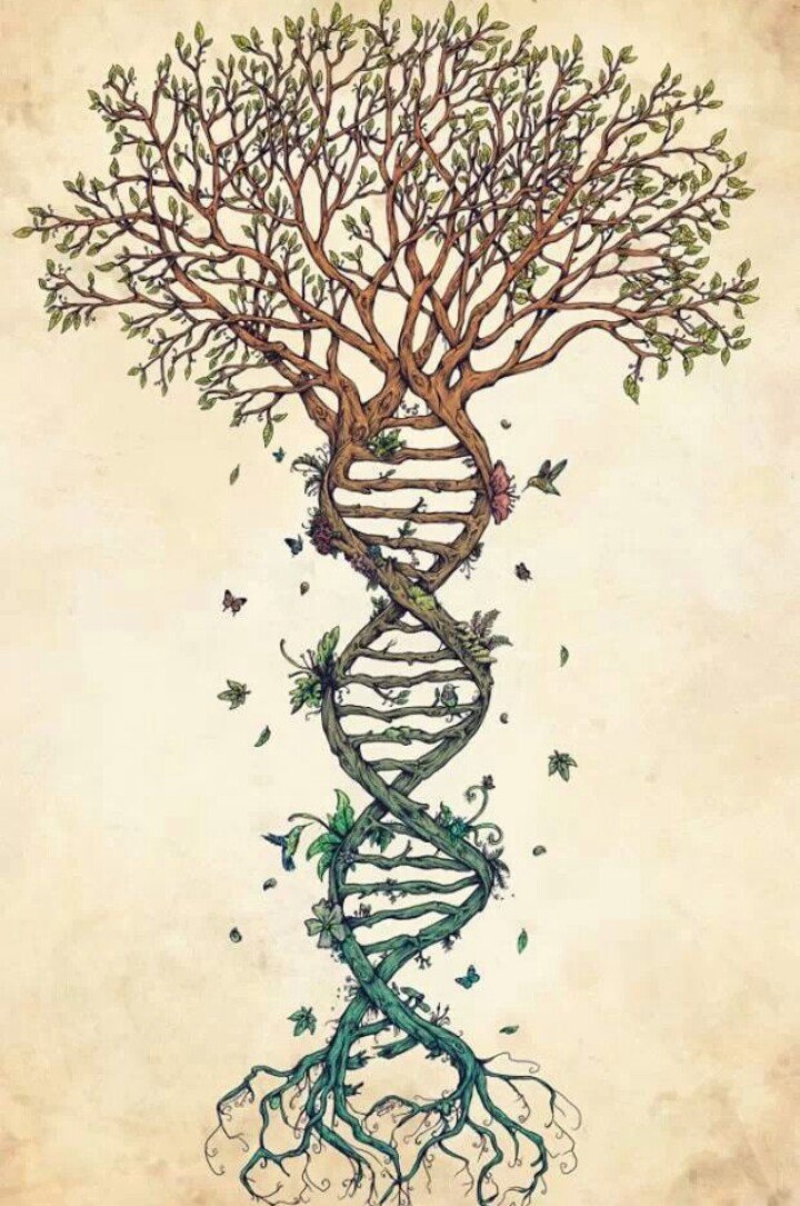 GivTree.com tweet media