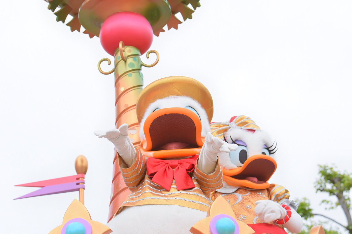 memechaaaaaa's tweet image. 気づかなかったけどドナちゃんと一緒にデイジーも投げちゅしてたんだね💋💓