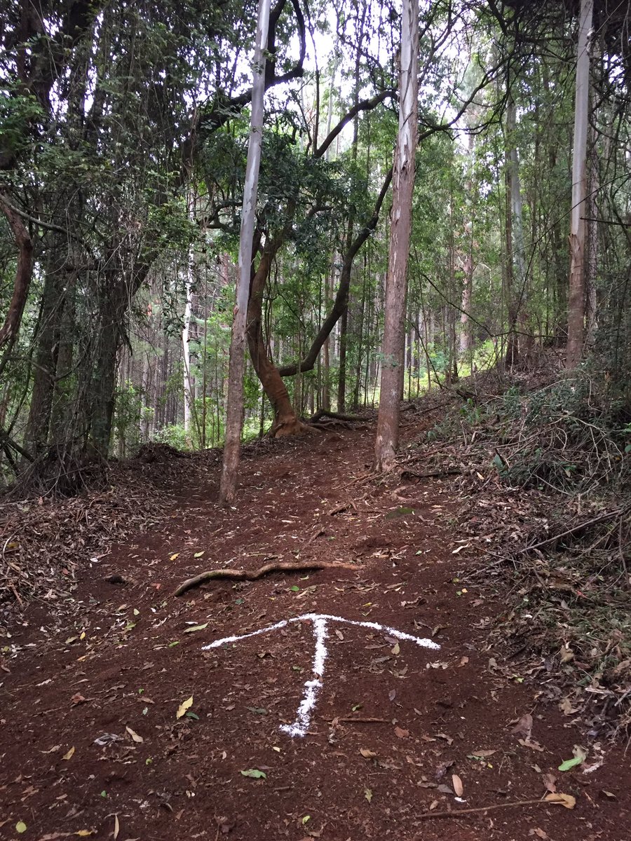 Tzaneen cycling tweet media