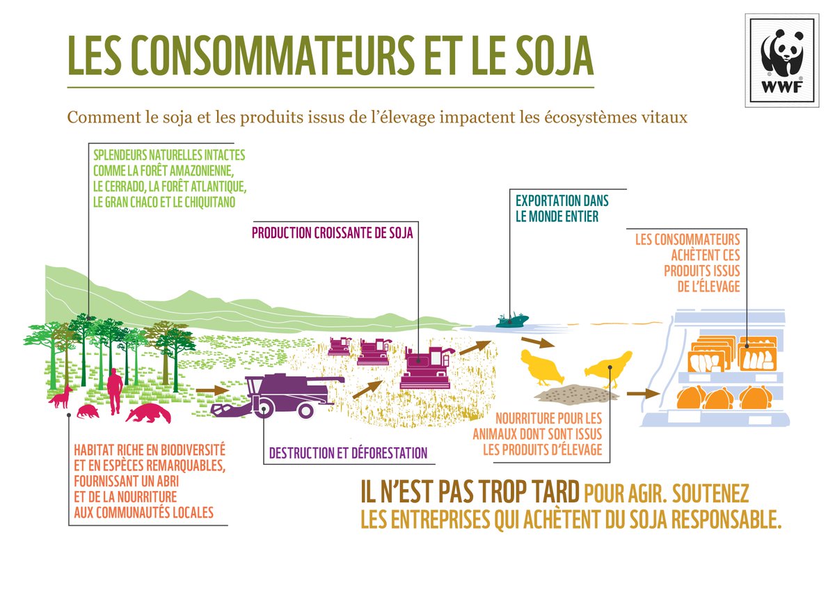 WWFFrance's tweet image. La monoculture du soja impacte les écosystèmes. La semaine prochaine, découvrez comment agir dans le #ScorecardSoja