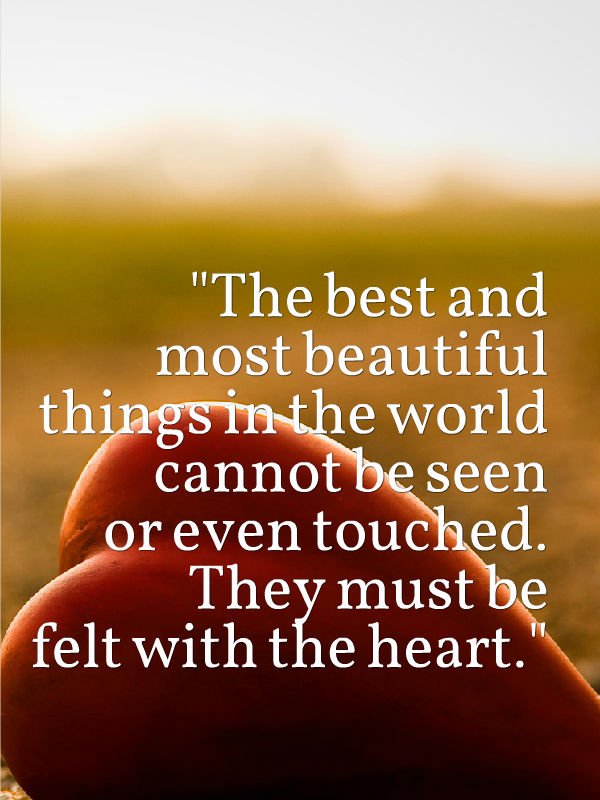 smsapplication5's tweet image. The best and most #beautiful thing in the #world cannot touched. They must be felt with the #heart.