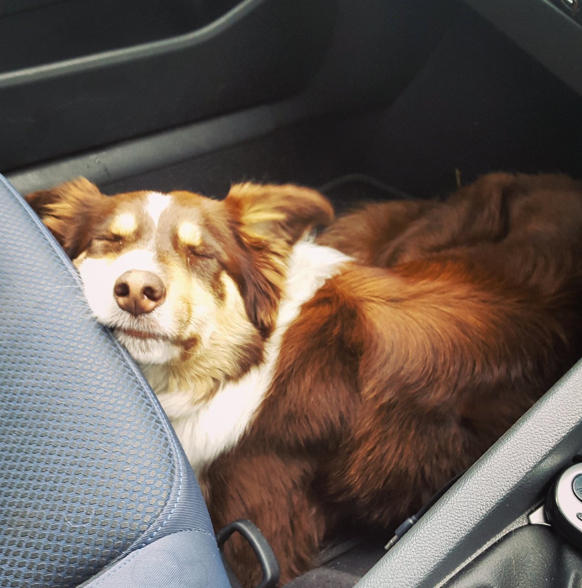 Maddie__91's tweet photo. Friday morning vibes #FridayFeeling 😴 https://t.co/tpDvARaisL