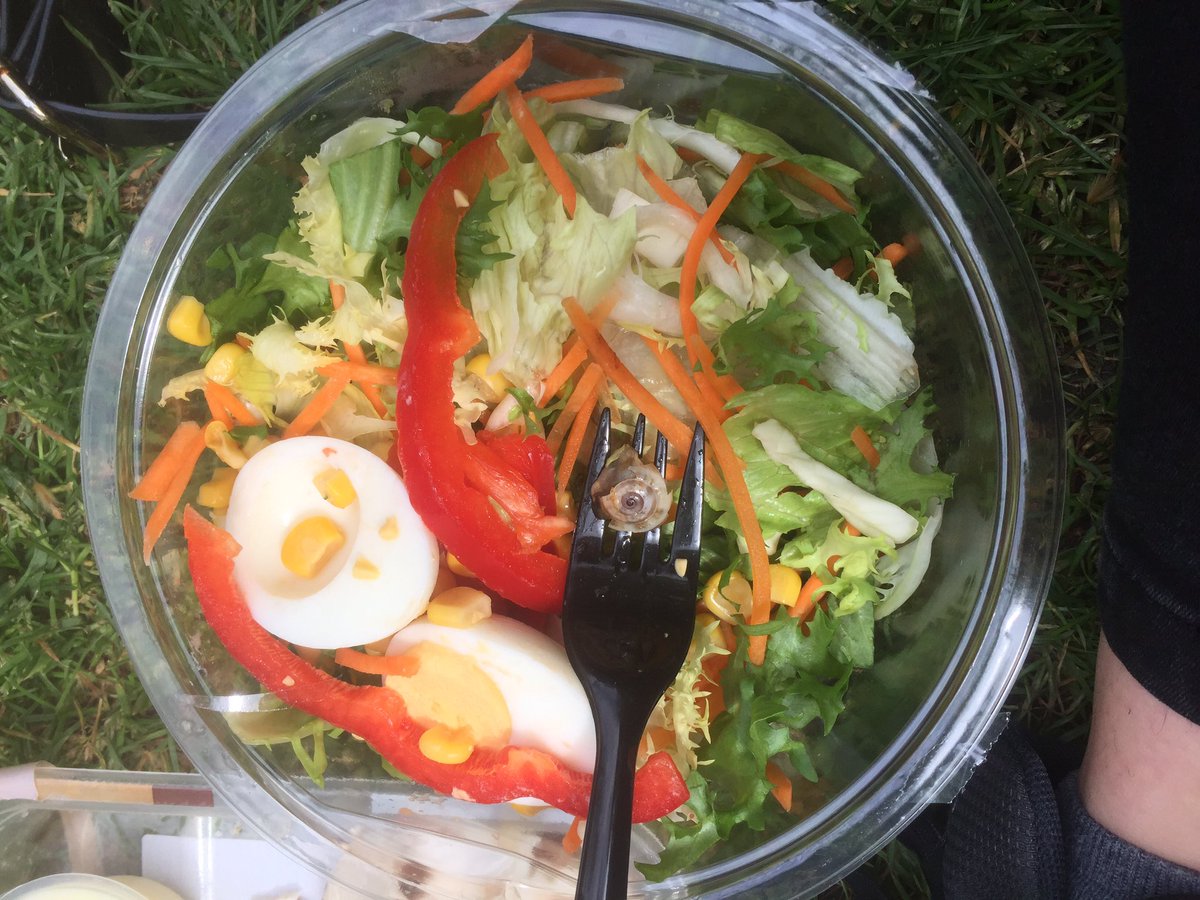 JessieMeddick's tweet photo. @Tesco nice surprise finding a snail in my tesco salad today #stillfeelsick https://t.co/RRgb3UzAdY