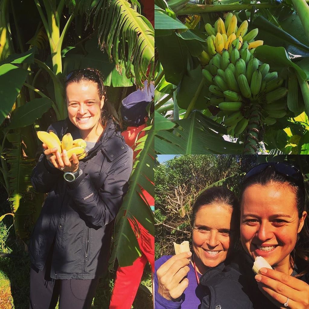 Today was a very exciting day for us. We harvested our first homegrown #bananas and my word they were so divine. No…