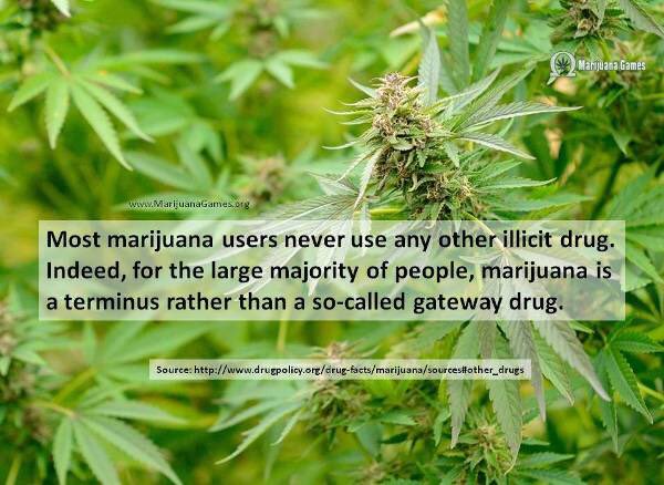 moistitos's tweet photo. Yasss! RT if you're a #stoner & u never done any other drugs! βπΌ #stoned #stonergirl #intelligentstoner #gethigh https://t.co/PDw0mAEavZ