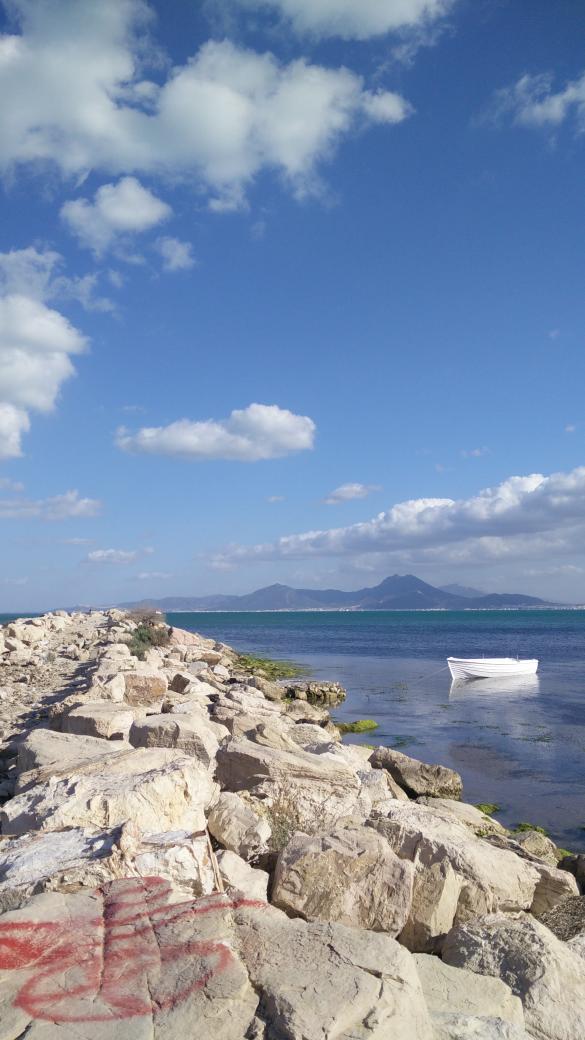 m_o_re's tweet image. 