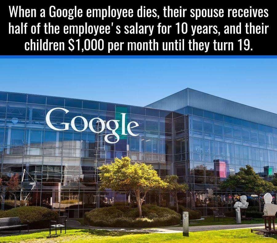 iajay21's tweet image. #googleservice #respect #google