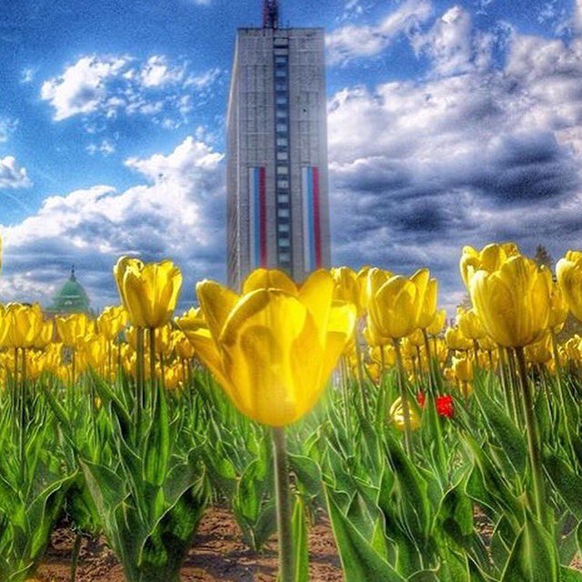 Ярких выходных вам, ульяновцы! #73city #ulsk #ульяновск