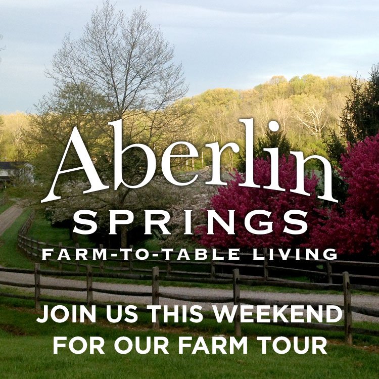 Aberlin Springs (@AberlinSprings) / Posts / X