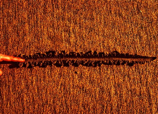 T.J. Duckett tweet media