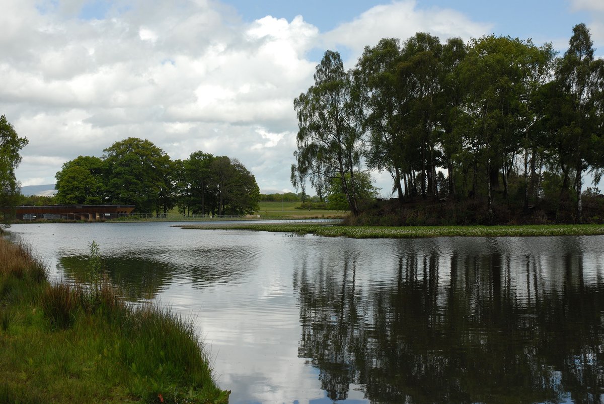 rfblandscape's tweet image. Larbert Woods @IWA help deliver multiple benefit #health #wellbeing
@WoodlandTrust #MHAW socsi.in/VdAWT