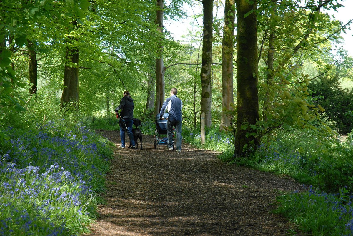 rfblandscape's tweet image. Larbert Woods @IWA help deliver multiple benefit #health #wellbeing
@WoodlandTrust #MHAW socsi.in/VdAWT