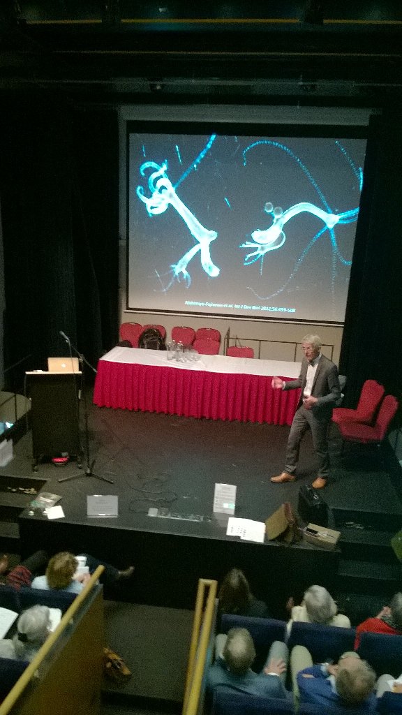 HUmasterGF tweet media