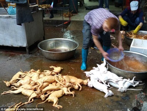 Daniel Aular tweet media