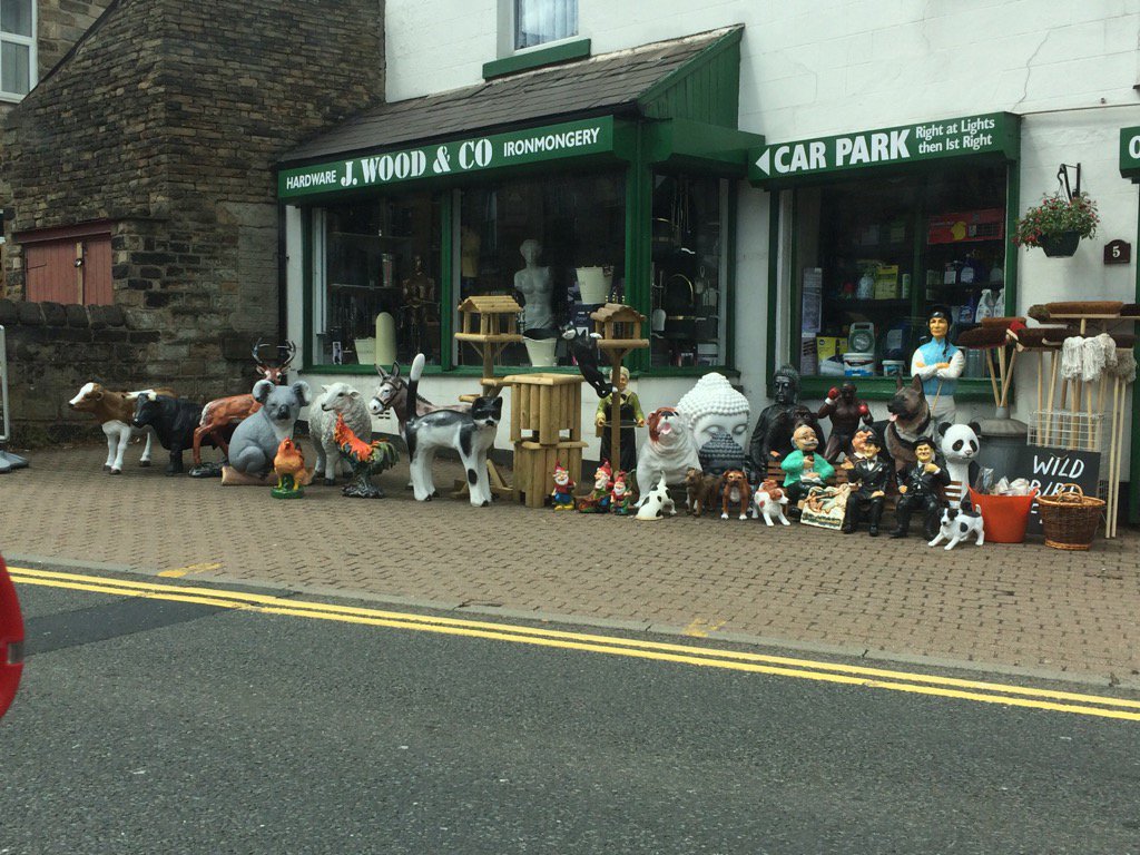 ClaireRonan's tweet image. It's the koala that's doing it for me. #withintent