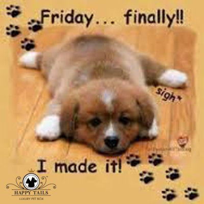 Happytailsbox's tweet photo. https://t.co/u4FYHF7K8o
