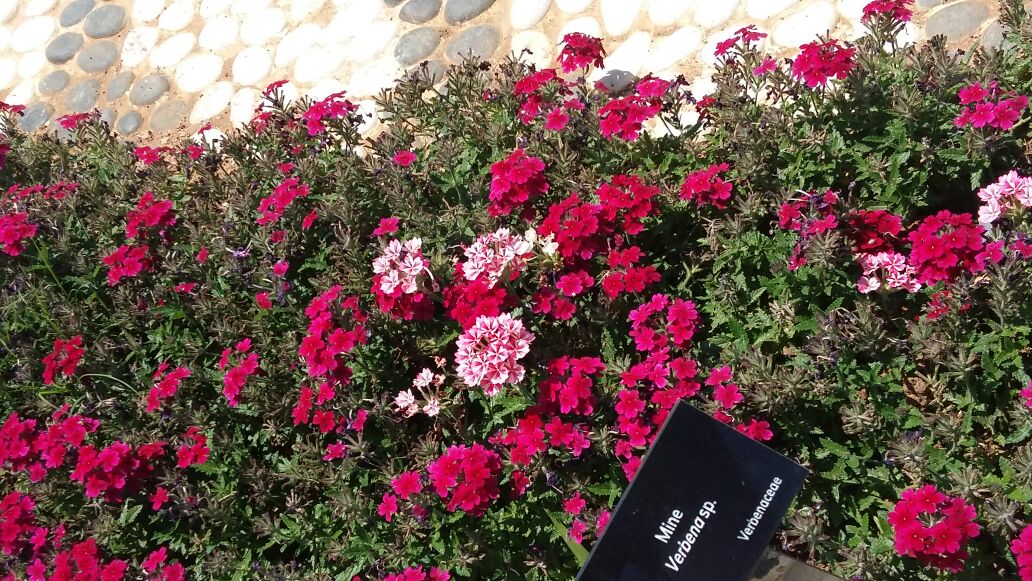 Hüseyin Nam-ıCİN (@cinhsyn1973) on Twitter photo 