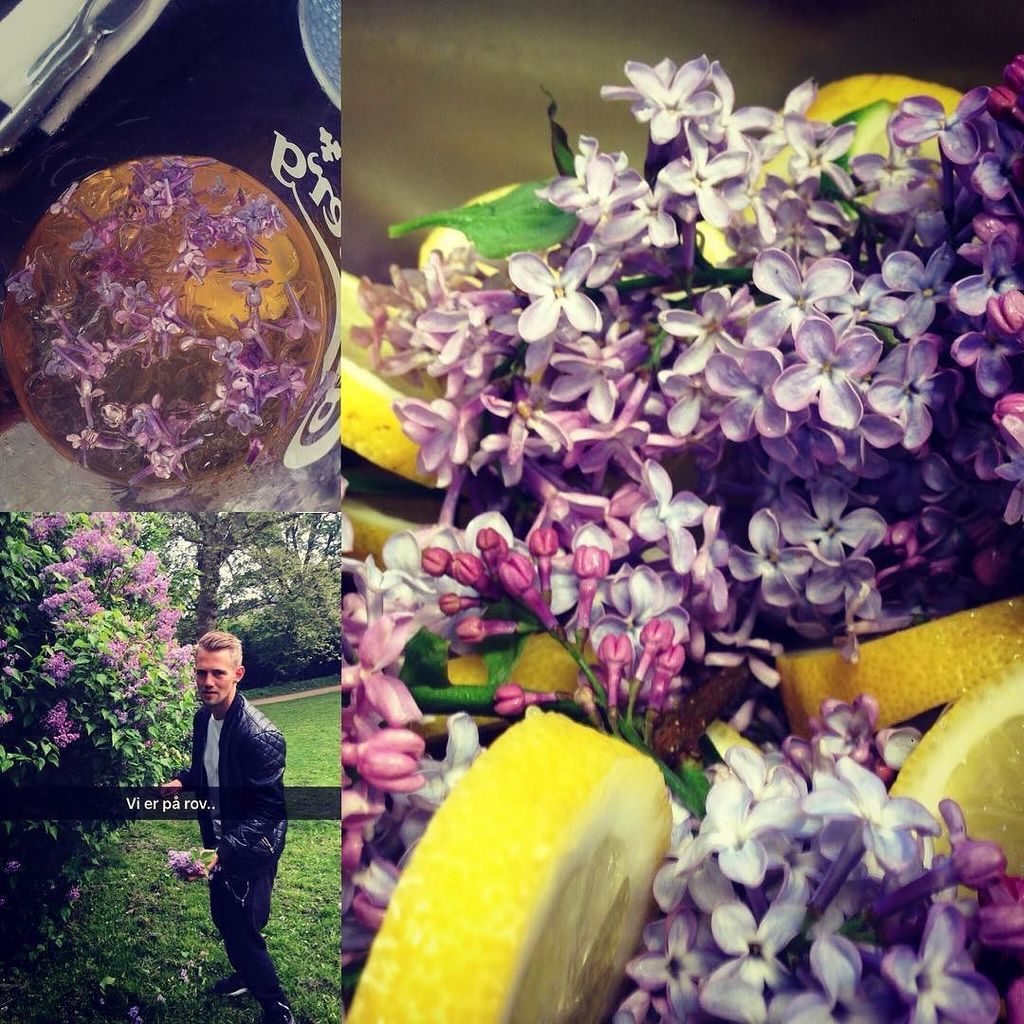 ValbyGarden's tweet photo. by 1664vester Så er der syren saft til alle!! #foodlover #foodporn #belisbar #syrener #søndermarken #geraniumgin https://t.co/gFaU6DhrJx
