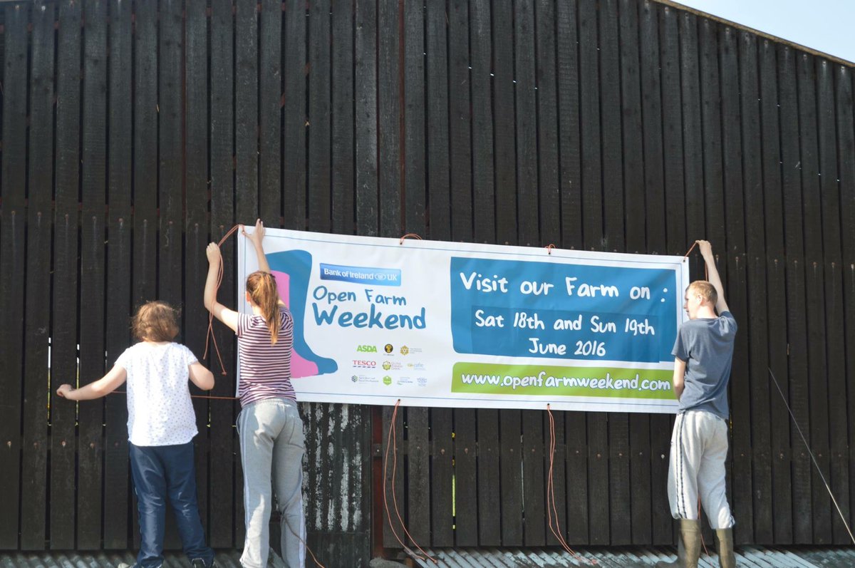 BOIopenfarm's tweet photo. Left a bit, right a bit...another day, another @BOIopenfarm banner goes up! This is at the Buchanan Farm, Strabane! https://t.co/IFfzjk8IRm