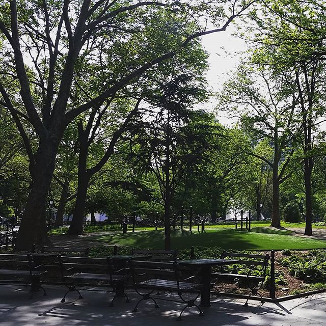 WashSqParkerz's tweet photo. https://t.co/6BbqqlWuIa - #cableplay #mounds #washingtonsquarepark #lush #nyc https://t.co/ePN7dE1z9W