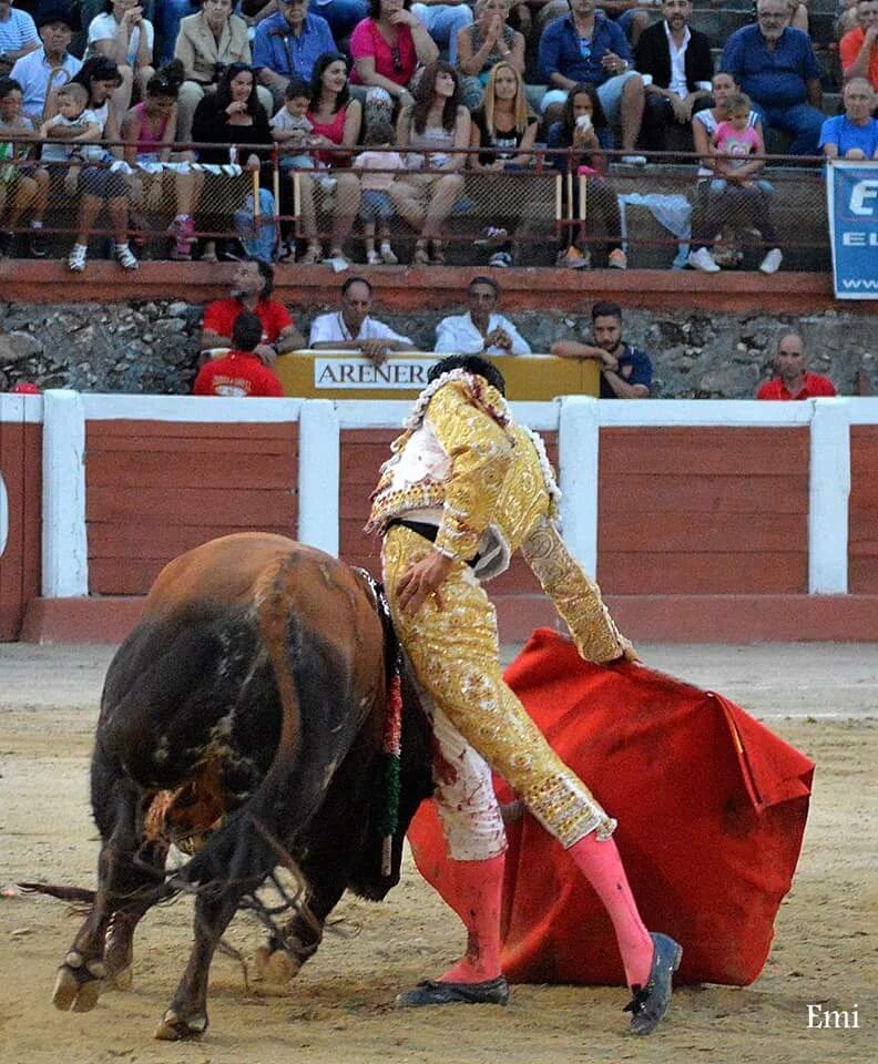 Emivmartin's tweet photo. Después d 6 toros d los d verdad en @toroshervas  
Se le espera en Orthez a  @emiliodejusto 
Presentación en Francia https://t.co/CzNfZMZecI