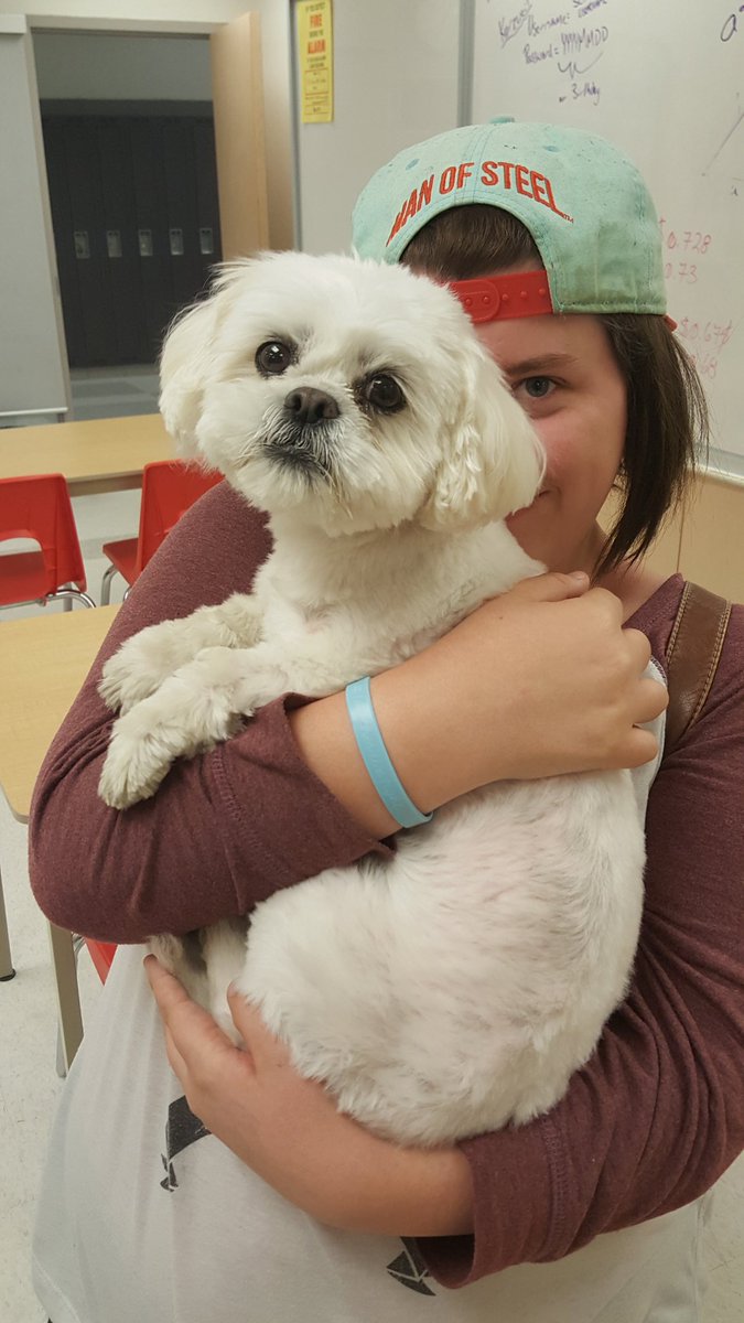 Hanging out with Emma in an <a href="/NPSSnews/">Nottawasaga Pines</a> classroom! Dog ambassador of our <a href="/SweetCharityDog/">Sweet Charity</a> program.  <a href="/NPSSGuidance1/">NPSS</a>